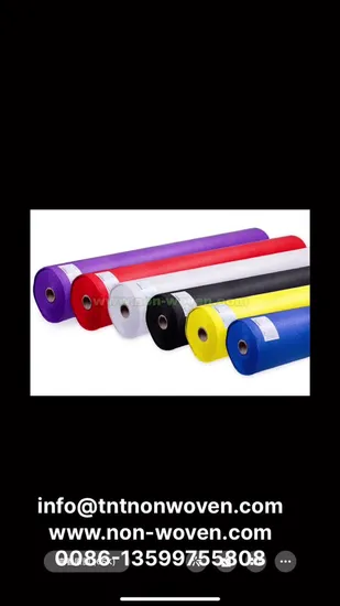 PP Spunbonded Nonwoven Home Textile