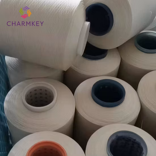 Hochwertiges 20/22D Webgarn aus 100 % natürlichem Maulbeer-Rohseidengarn